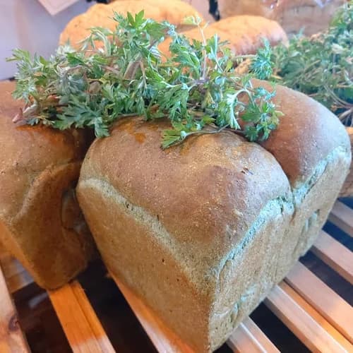 천연발효빵 식빵, 샤워도우, 치아바타, 깜빠뉴 4