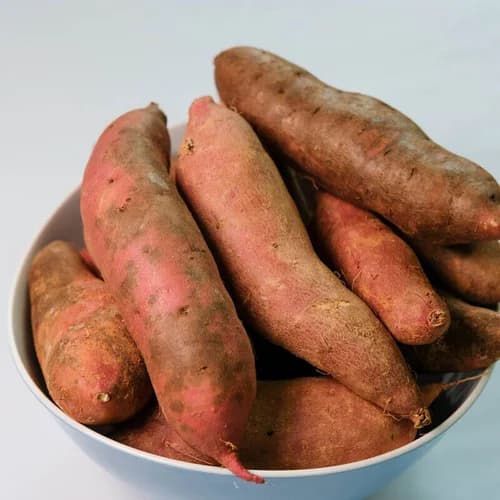 고구마(유기농으로 20만평 고구마농사짓는 선배님의 진심이 담긴 진짜 맛있는) 8