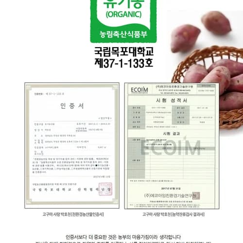 고구마(유기농으로 20만평 고구마농사짓는 선배님의 진심이 담긴 진짜 맛있는) 13
